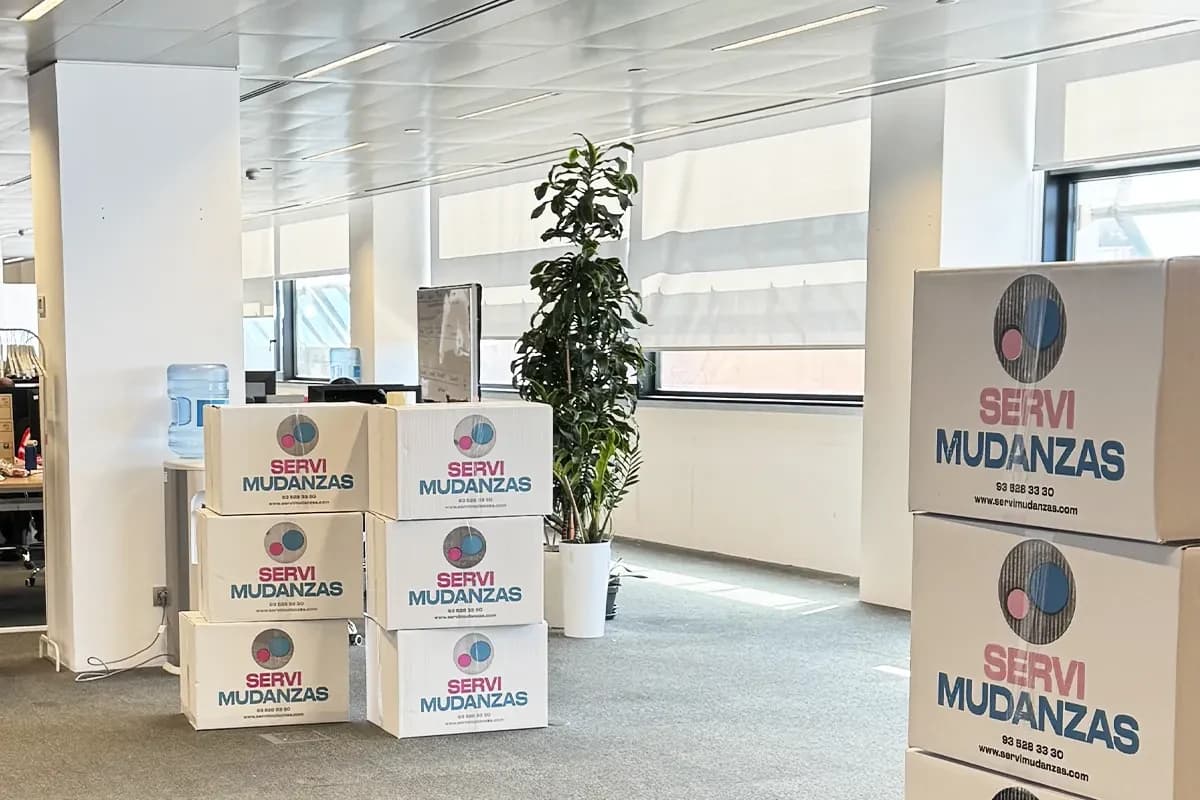 Operario de Servimudanzas cargando cajas marca en furgoneta durante mudanza